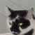 Deborah Roar Morrison's profile image
