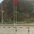 Najat Elarabi's profile image