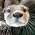 Karen Ann Kennedy's profile image