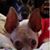 Joyce Hughes's profile image