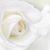 Terri Taylor's profile image