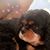 Bella Py's profile image