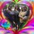 Jennifer Guffey's profile image