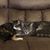 Tara Perry Casper's profile image