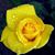 Karan Brace's profile image