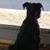 Melissa Hackley-Goodhart's profile image