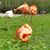 Jennifer Stauffacher's profile image