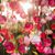 Elham Tehranchi's profile image