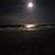 Jodi Wilbur's profile image