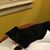 Sonya Edwina Anglin's profile image