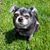 Christine Pupino Skrivanek's profile image