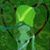 Bob J. Crayton's profile image