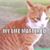 Connie Szawara's profile image