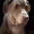 Steve Richardson's profile image