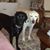 Tracey Stanton's profile image