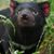 Cheryl Kingsley's profile image