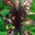 Brian Lamb's profile image