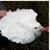 Sue D Wunstel Westbrook's profile image