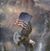 Roger Dunkel's profile image