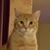 Keith Schreck's profile image