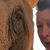 Suzie DeKerlegand's profile image