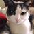 Myron Nehrebecki's profile image