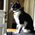 Diana Ybarra Kirby's profile image