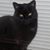 Dorothy Glenn's profile image