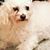 Sylvia Espadin's profile image