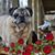 Jayne Athey's profile image