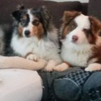 Joanie Davidson's profile image