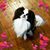 Linda Hirshey Carlson's profile image