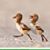 Susan Ronk Moriarty's profile image