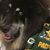 Kim Anna Marie's profile image