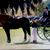 Angie Smoak Davison's profile image