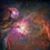 Neil Donnell Ray's profile image