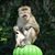 Craig Williams's profile image