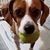 Marty Radovich's profile image