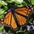 Cathleen Greenwood Johnson's profile image