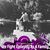 Sherri Ann Tomaszewski's profile image