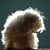 Rufus Ben Law's profile image