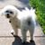 Terri Yurek Bodnar's profile image