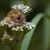 Cathy Bernier-Gonet's profile image