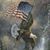 Debra French's profile image