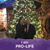 Regina Peters's profile image