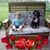 Jodi Stevenson Hampton's profile image