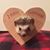 Mandy Machamer's profile image