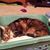 Julie Kidwell Norris's profile image