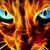 Heather Temple's profile image