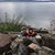 Sarah Liddy-Shaw's profile image